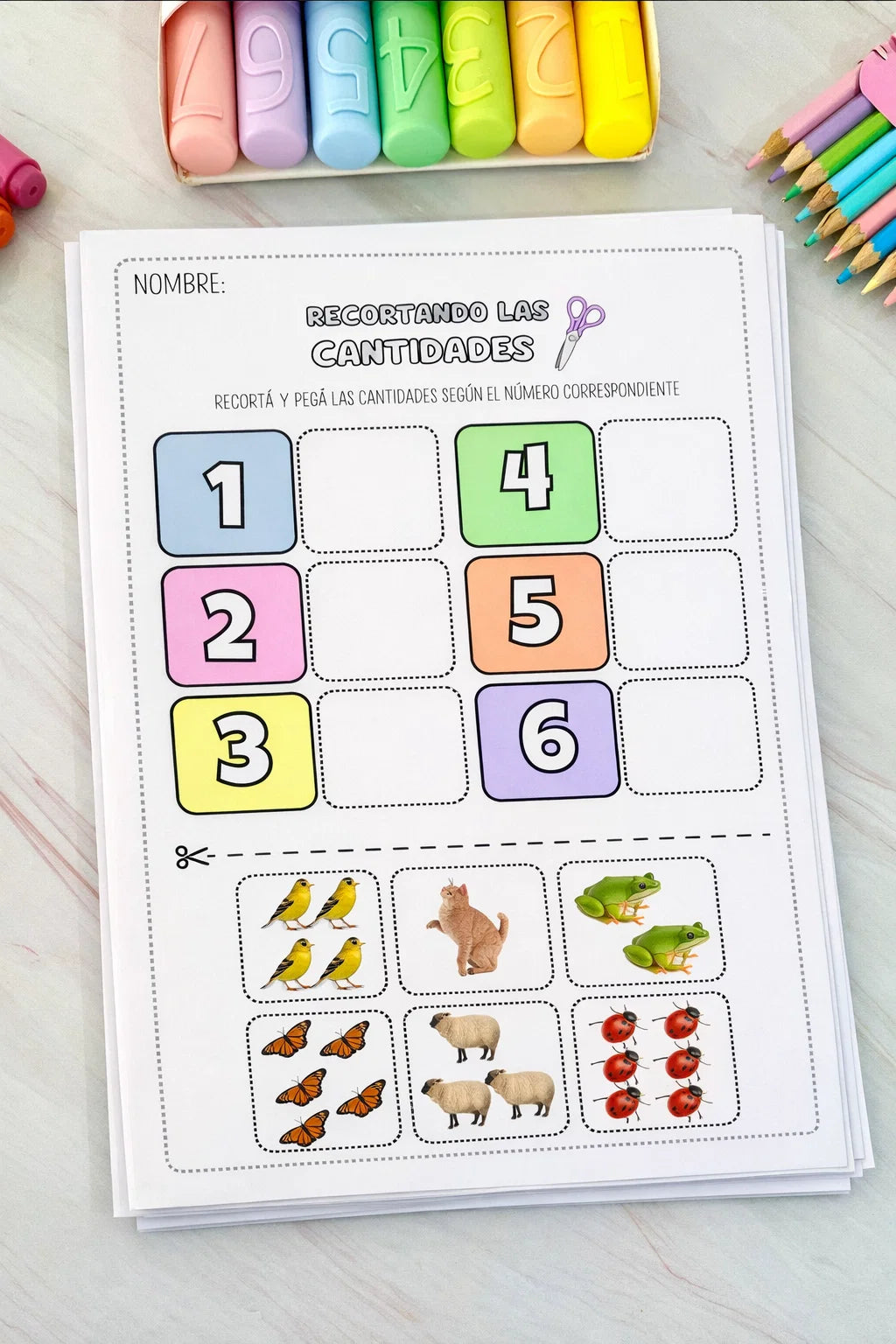 Pack recursos Numeración Inicial